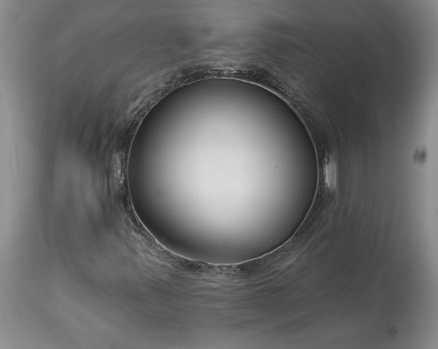 X0000113581347200910021643