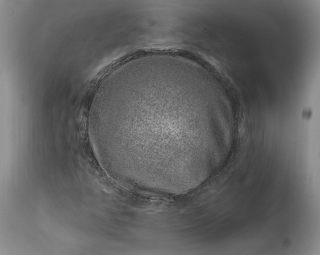 X0000113581350200910021643