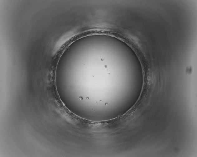 X0000113581352200910021643