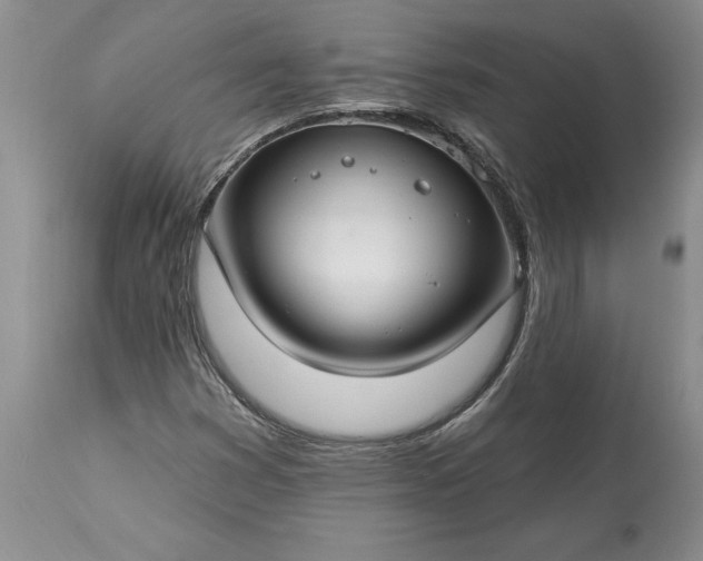 X0000113581353200910021643