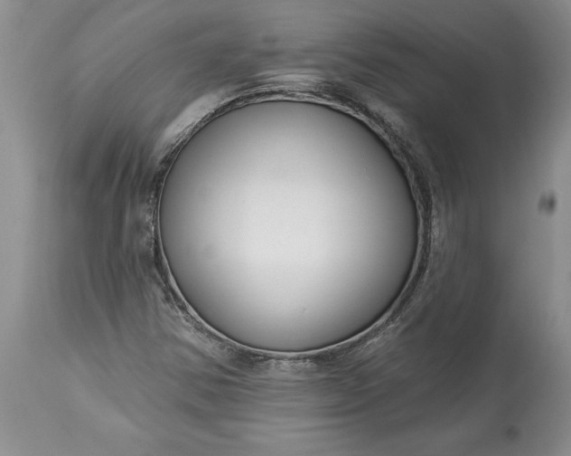 X0000113581354200910021643