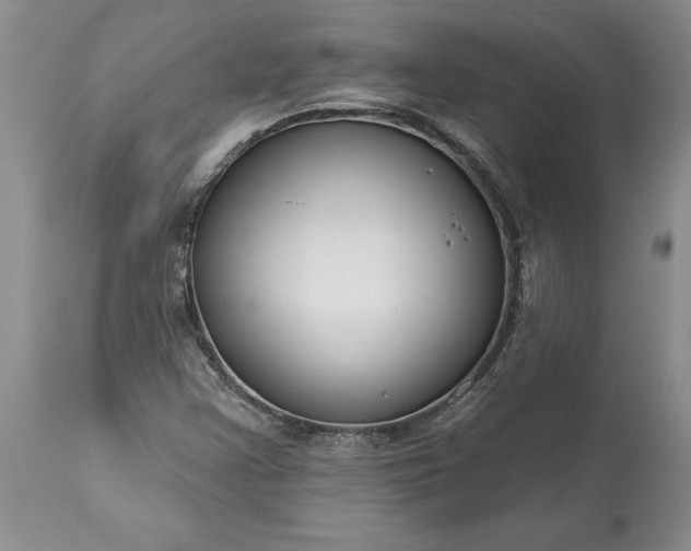 X0000113581355200910021643