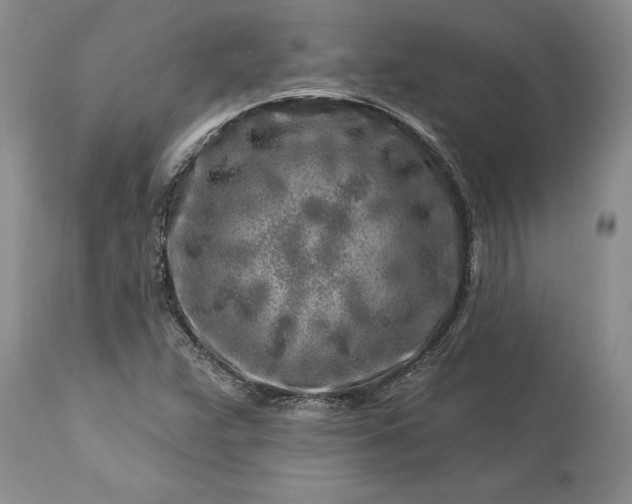 X0000113581359200910021643