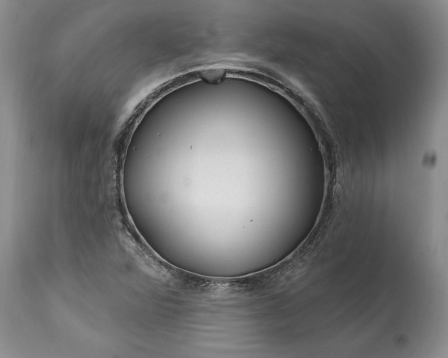 X0000113581360200910021643