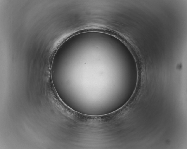 X0000113581363200910021643