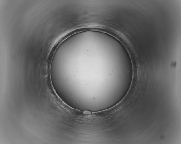 X0000113581364200910021643