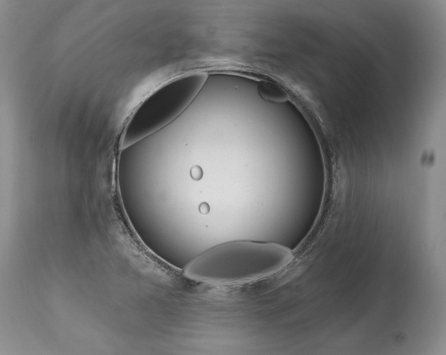 X0000113581365200910021643