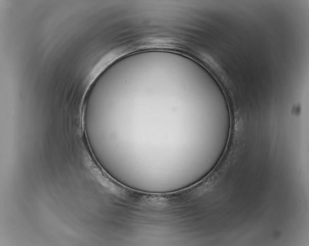 X0000113581370200910021642