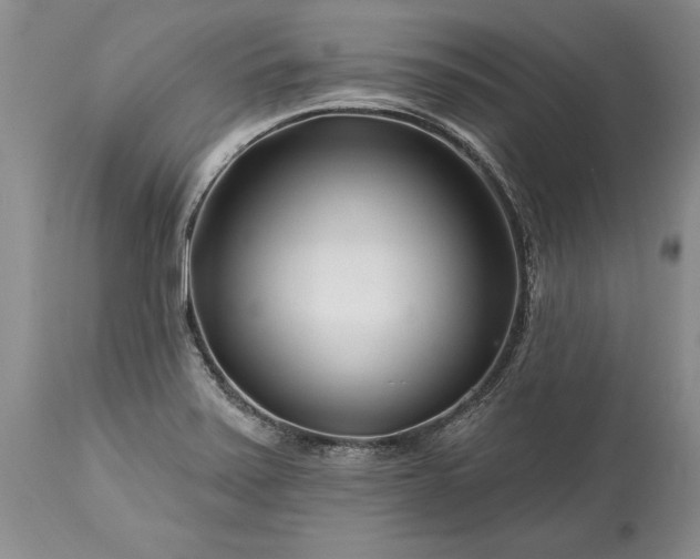 X0000113581371200910021642