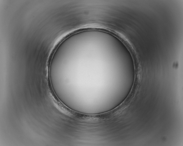 X0000113581372200910021642