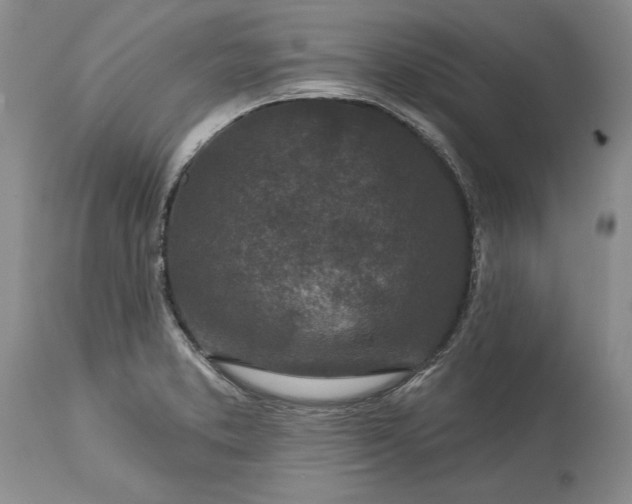 X0000113581373200910021642