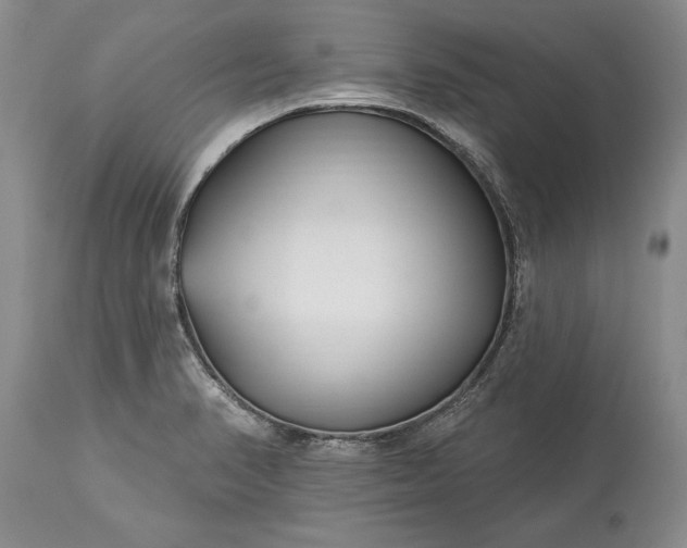 X0000113581374200910021642