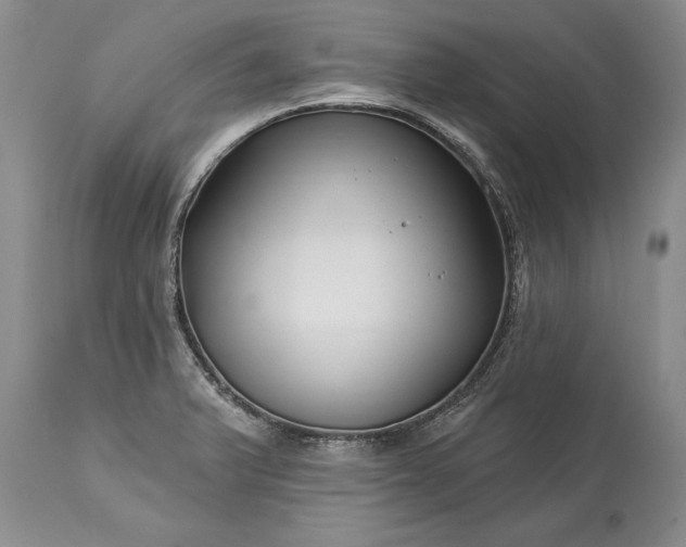 X0000113581375200910021642