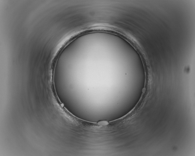 X0000113581376200910021642