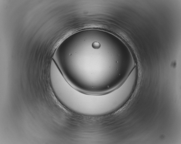 X0000113581377200910021642