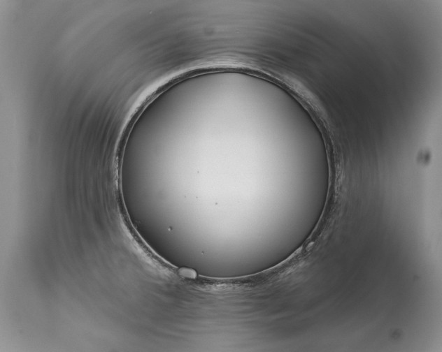 X0000113581380200910021642