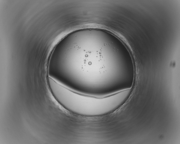 X0000113581381200910021642