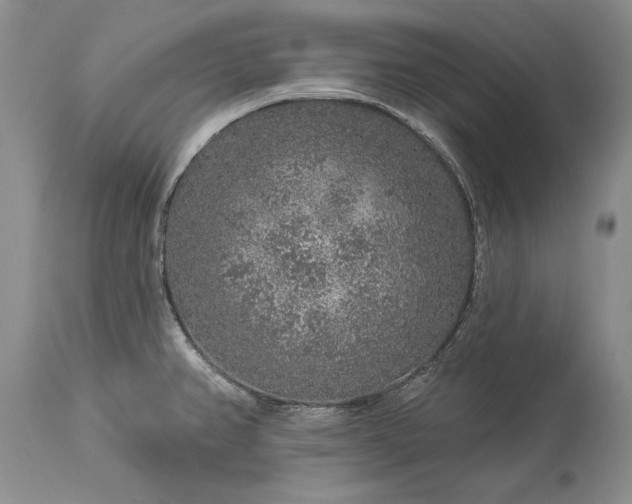 X0000113581382200910021642