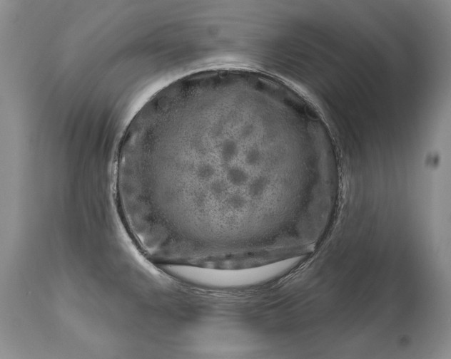 X0000113581383200910021642