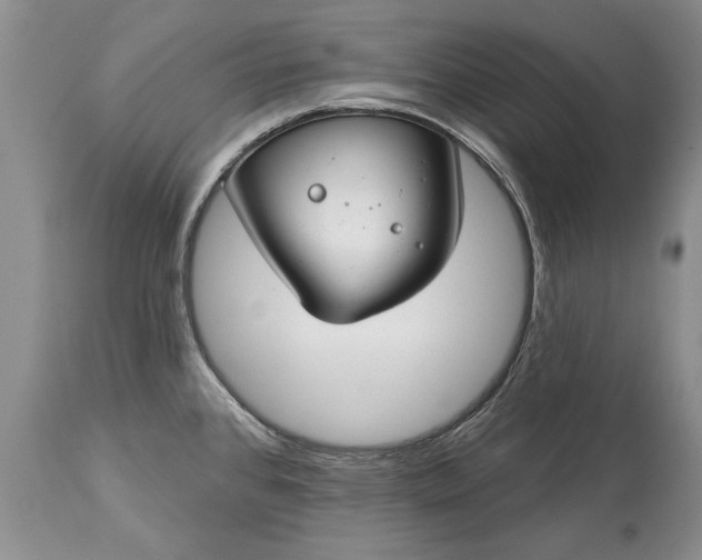 X0000113581384200910021642