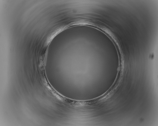 X0000113581385200910021642