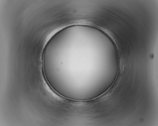 X0000113581387200910021642