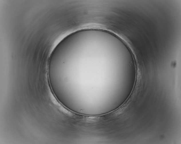 X0000113581390200910021642