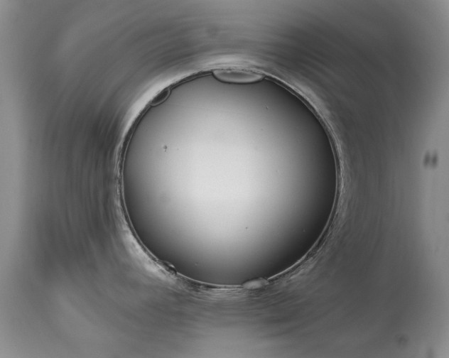 X0000113581392200910021642