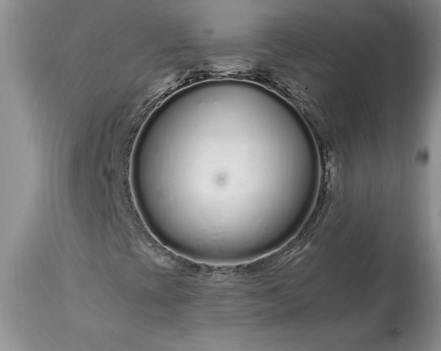 X0000113581393200910021642