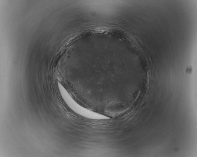 X0000113581394200910021642