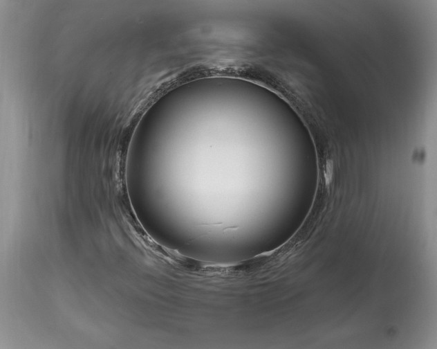 X0000113581396200910021642