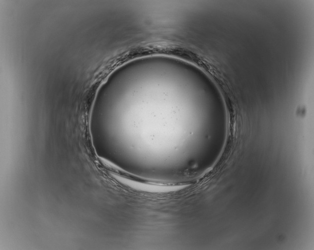 X0000113581397200910021642