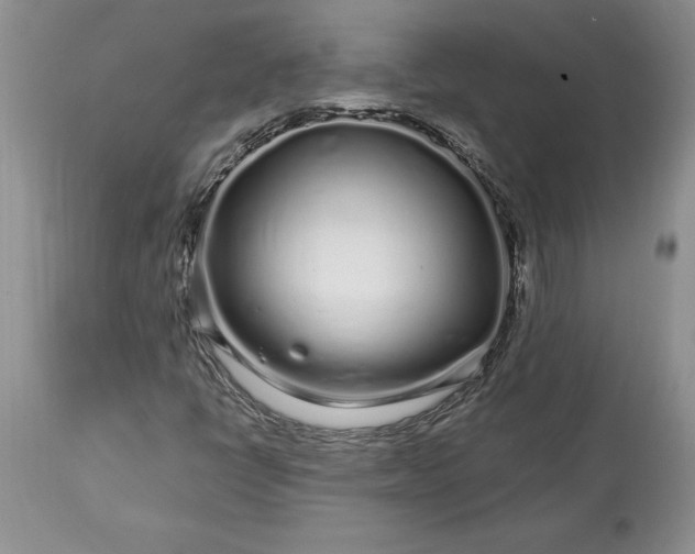 X0000113581398200910021642