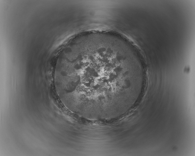 X0000113581399200910021642