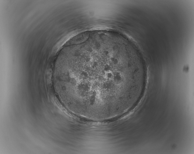 X0000113581401200910021642