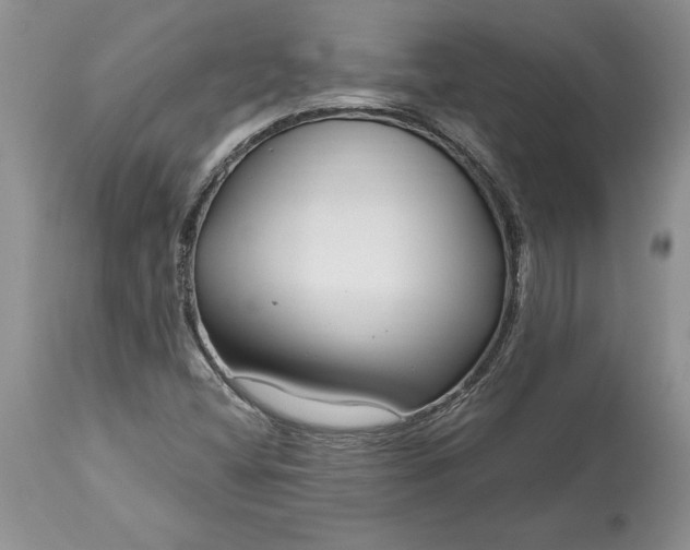 X0000113581404200910021642