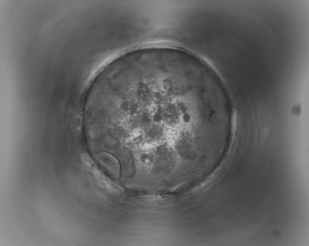 X0000113581405200910021642