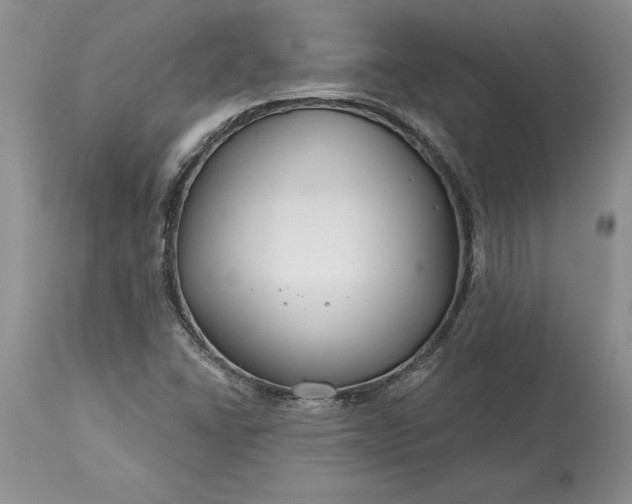 X0000113581406200910021642