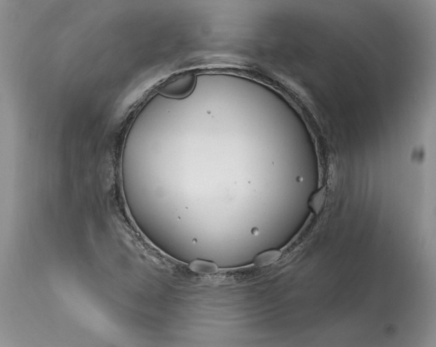 X0000113581407200910021642