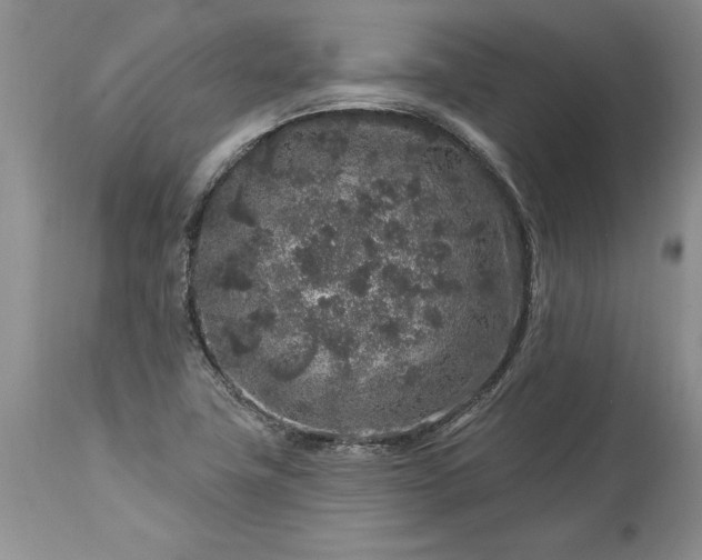 X0000113581411200910021642