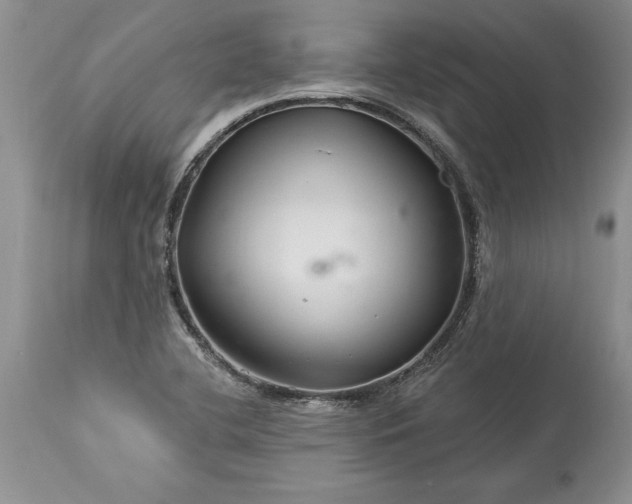 X0000113581412200910021642