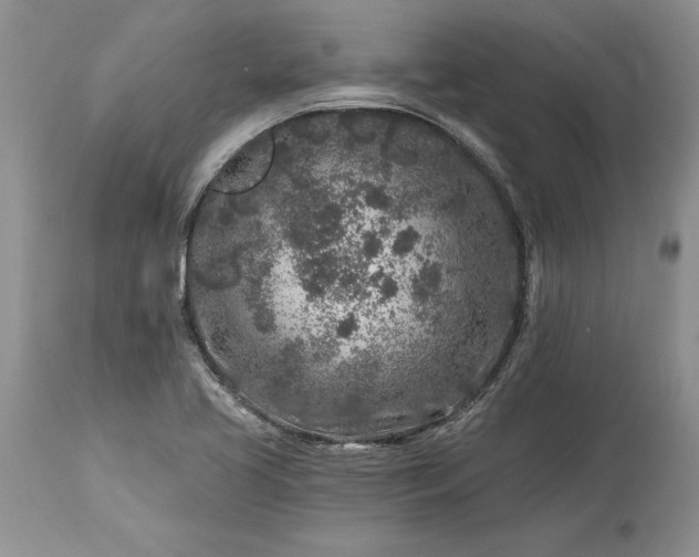 X0000113581413200910021642