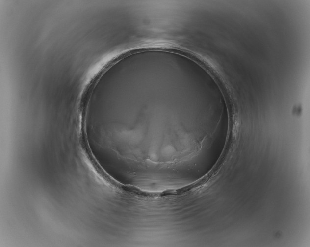 X0000113581414200910021642