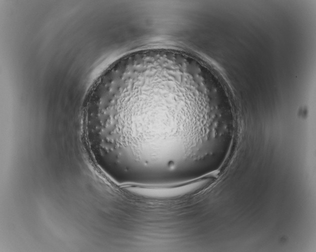 X0000113581415200910021642