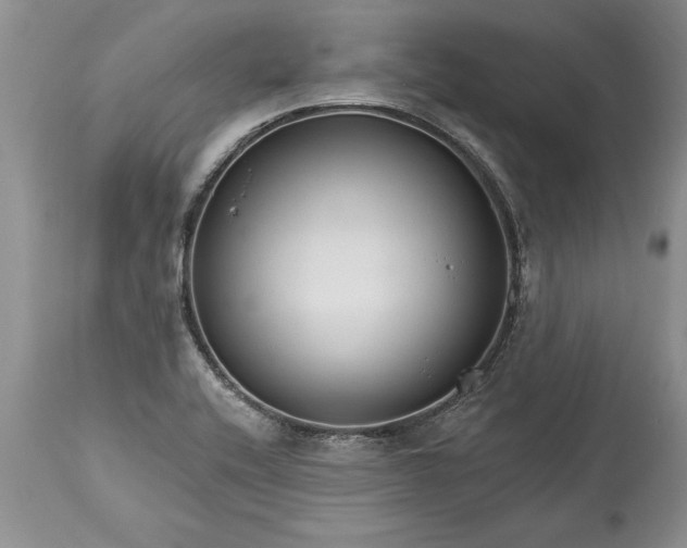 X0000113581416200910021642