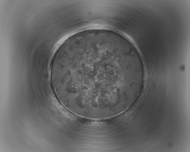 X0000113581419200910021642