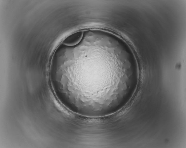 X0000113581421200910021642