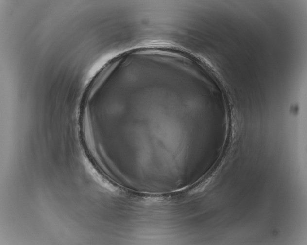 X0000113581422200910021642