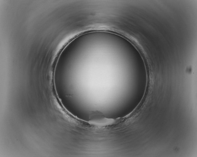 X0000113581424200910021642