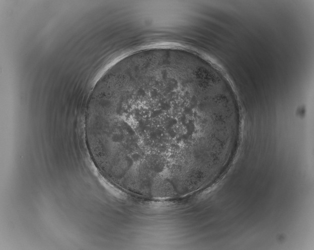 X0000113581425200910021642